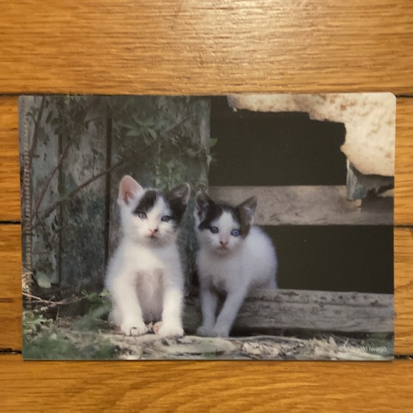 5 Small Plastic Card Folders - Picture 2 of 8